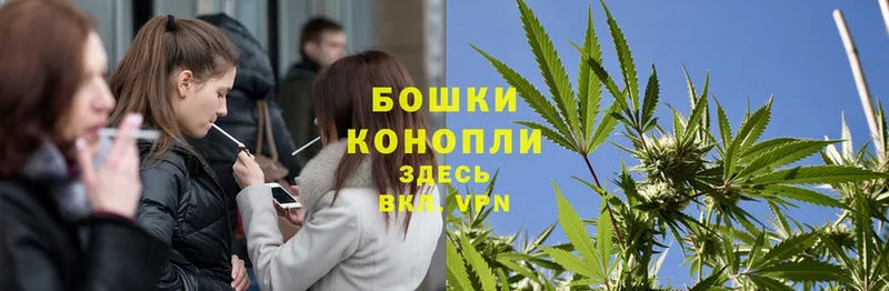 где можно купить наркотик  Мичуринск  hydra ССЫЛКА  Марихуана THC 21% 